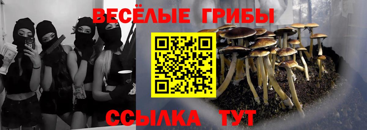 Галлюциногенные грибы Cubensis Мариинск