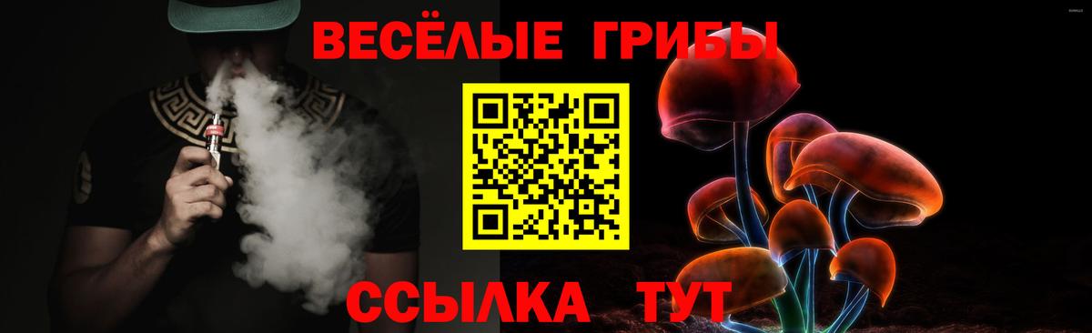 Мариинск  Псилоцибиновые грибы мухоморы  Вход с VPN 